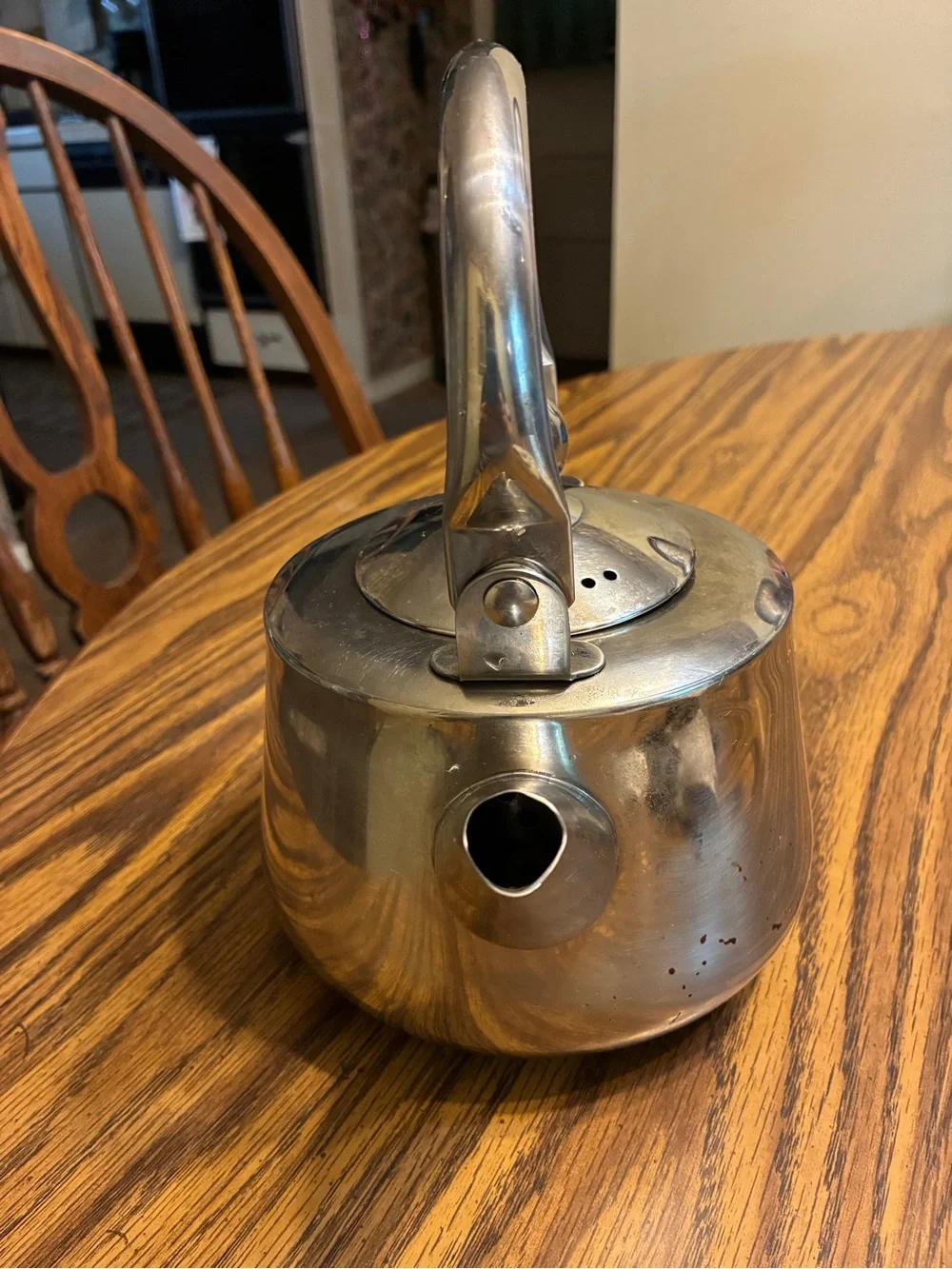 Brushed Stainless Steel Tea Kettle with Arched Handle - Silver